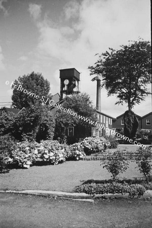 CLOCK TOWER FROM GARDEN